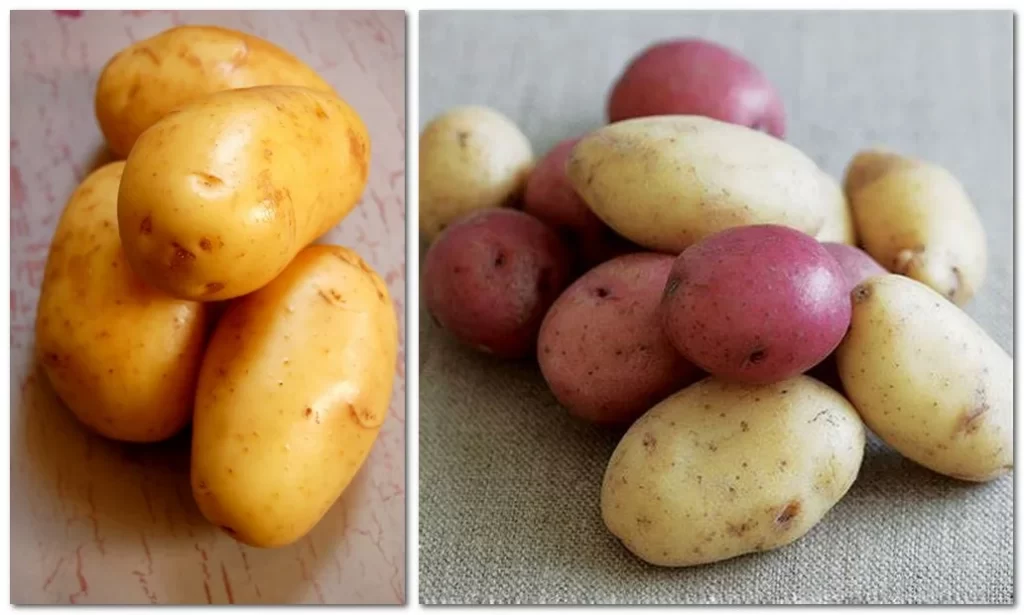 bratkartoffeln aus rohen kartoffeln die richtigen Kartoffelsorte festkochende oder vorwiegend festkochende Kartoffeln