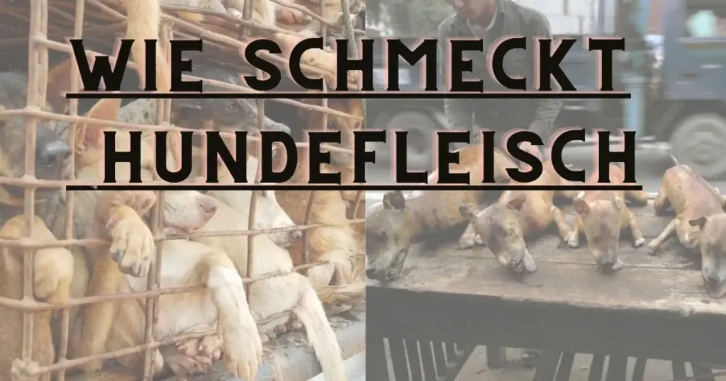 Der Geschmack von Hundefleisch