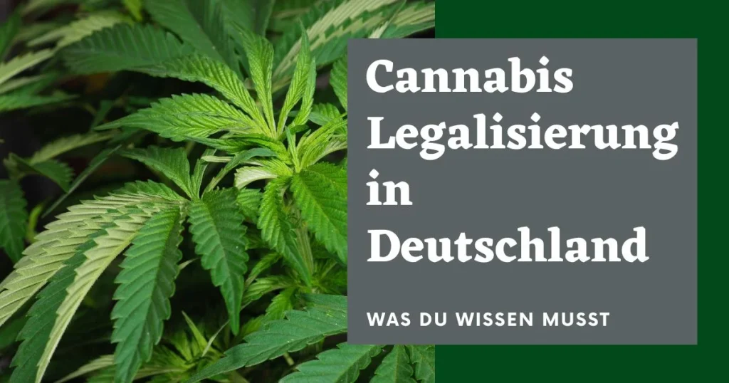 Cannabis Legalisierung in Deutschland