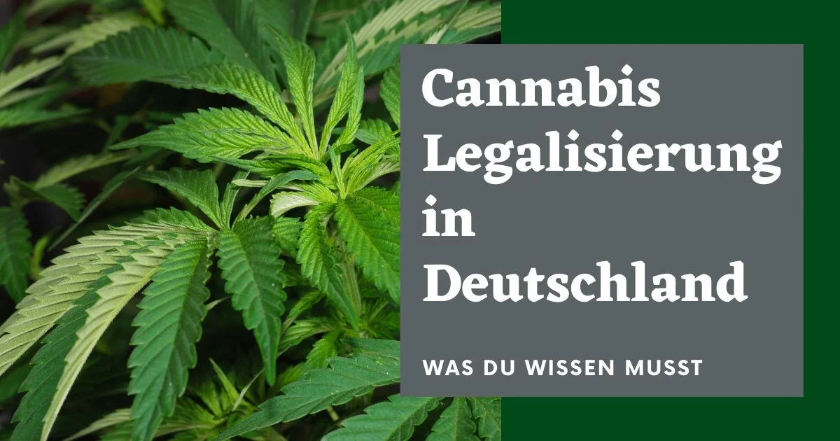 Cannabis Legalisierung in Deutschland
