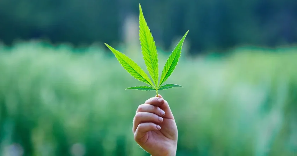 cannabis legalisierung
Cannabis
Bundestag